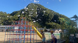 IMG_3703