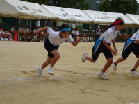 DSC00797