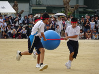 DSC03386